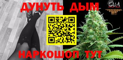 шишки Моздок