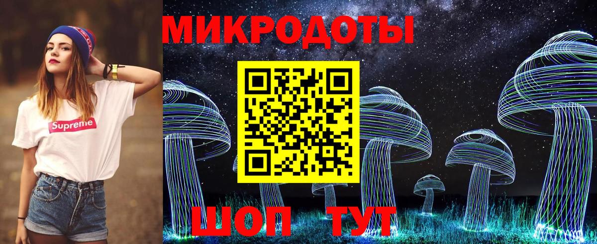 Тулун  Псилоцибиновые грибы Psilocybine cubensis  Вход с VPN 